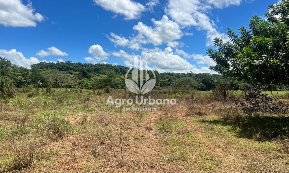 WhatsApp Image 2025-04-09 at 13.08.51