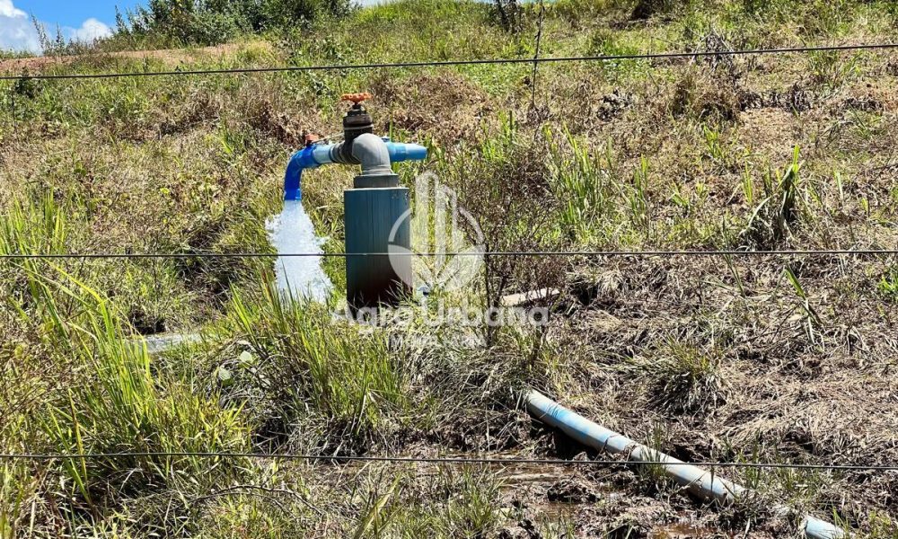 WhatsApp Image 2025-04-09 at 13.08.53 (2)