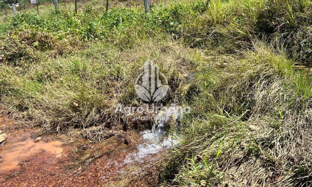 WhatsApp Image 2025-04-09 at 13.08.53 (3)