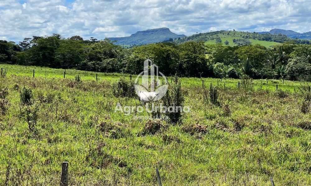 WhatsApp Image 2025-04-09 at 13.08.53