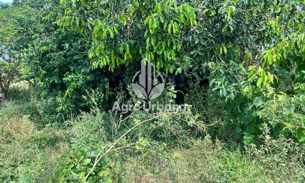 WhatsApp Image 2025-04-09 at 13.08.54 (1)