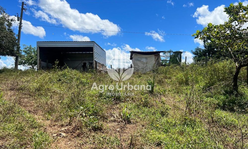 WhatsApp Image 2025-04-09 at 13.08.54