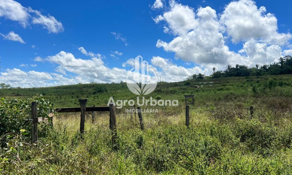 WhatsApp Image 2025-04-09 at 13.08.55 (1)