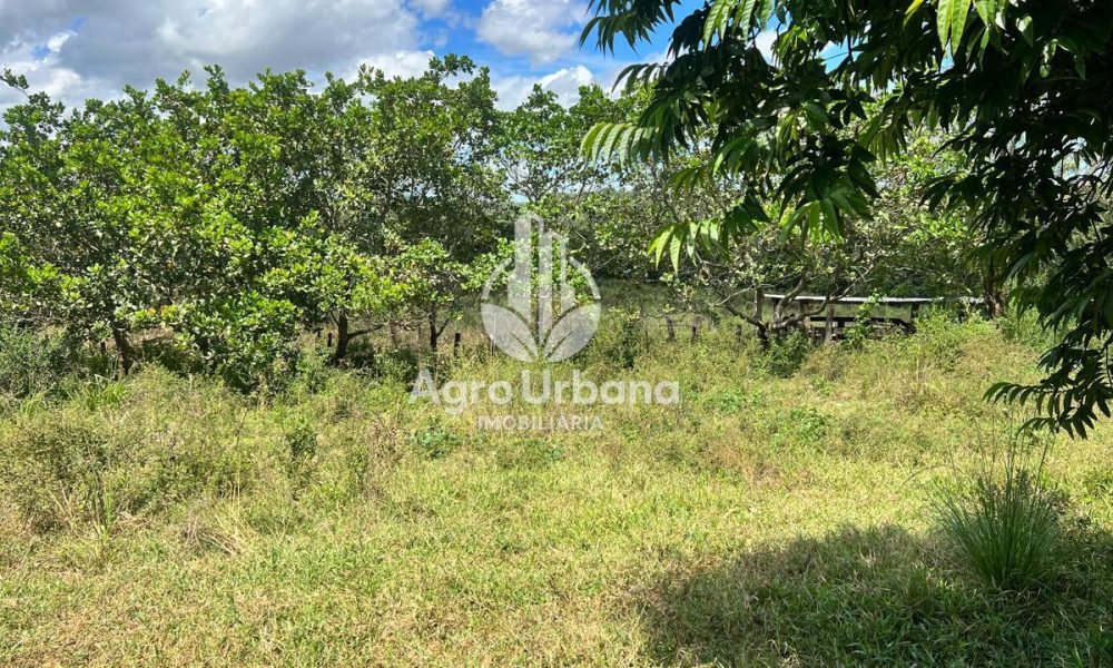 WhatsApp Image 2025-04-09 at 13.08.55 (2)