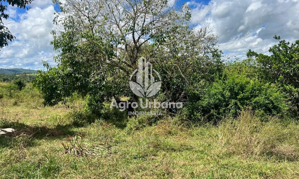 WhatsApp Image 2025-04-09 at 13.08.55 (3)