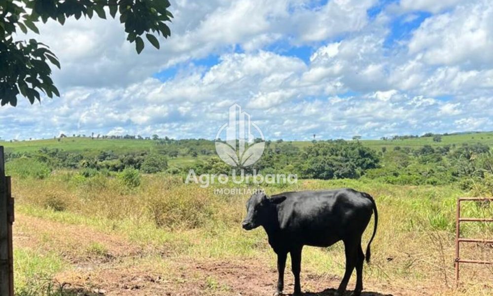 WhatsApp Image 2025-04-09 at 13.08.56