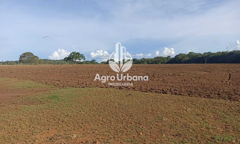 WhatsApp Image 2025-04-18 at 10.37.25 (2)