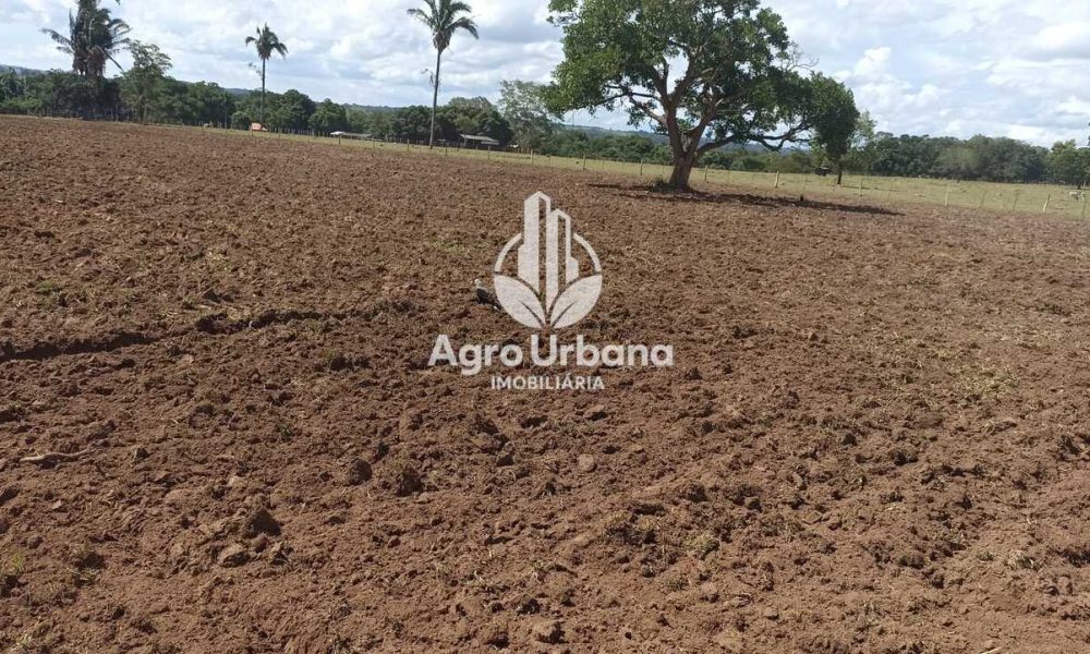 WhatsApp Image 2025-04-18 at 10.37.25 (3)