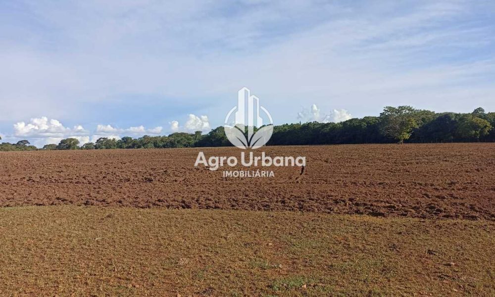 WhatsApp Image 2025-04-18 at 10.37.25 (4)