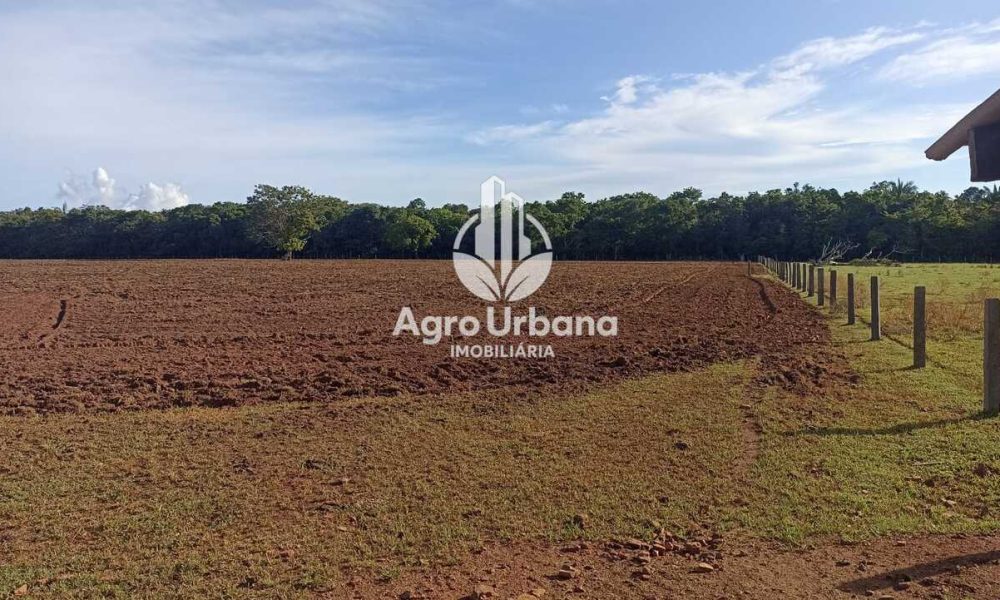 WhatsApp Image 2025-04-18 at 10.37.25