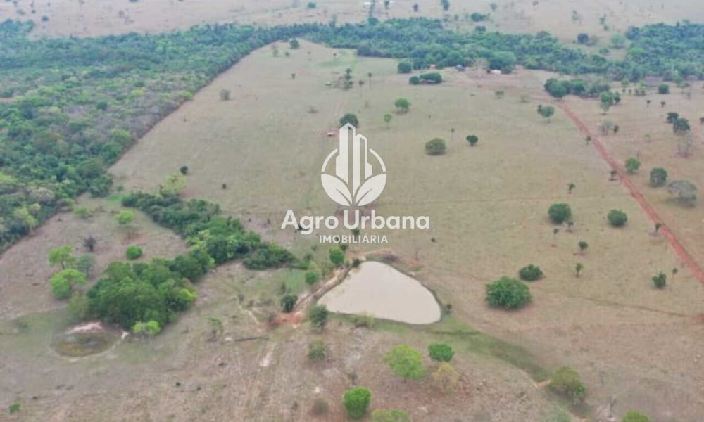 WhatsApp Image 2025-04-18 at 10.37.26 (1)