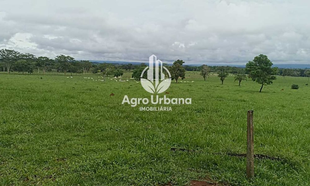 WhatsApp Image 2025-04-18 at 10.37.26 (3)