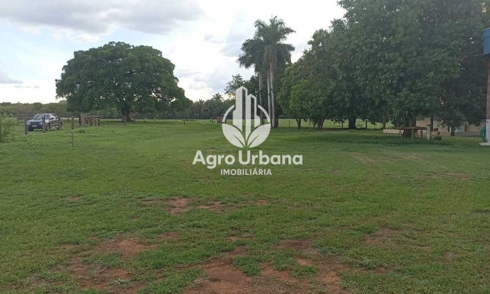 WhatsApp Image 2025-04-18 at 10.37.26 (4)