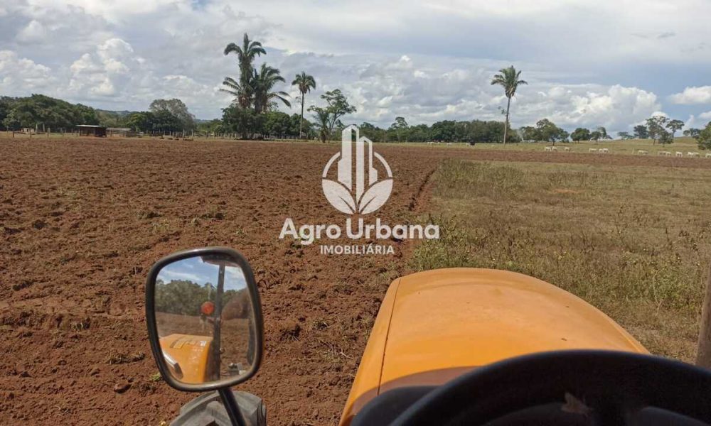 WhatsApp Image 2025-04-18 at 10.37.26