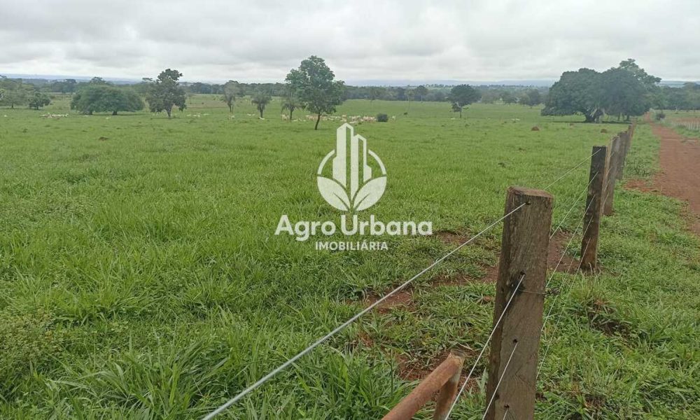 WhatsApp Image 2025-04-18 at 10.37.27 (2)