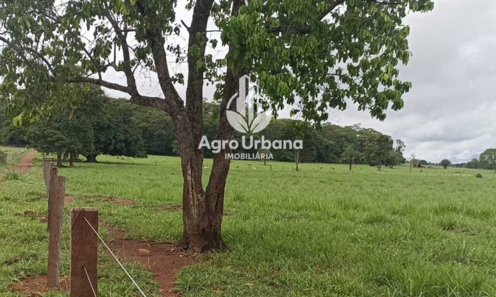 WhatsApp Image 2025-04-18 at 10.37.27 (3)