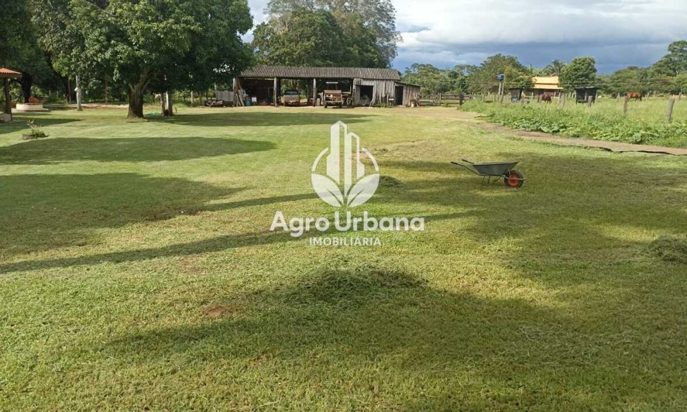 WhatsApp Image 2025-04-18 at 10.37.28 (1)