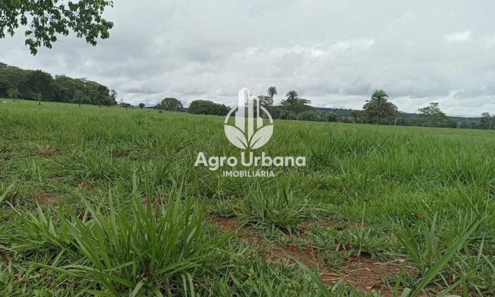 WhatsApp Image 2025-04-18 at 10.37.28 (4)