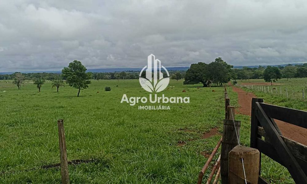 WhatsApp Image 2025-04-18 at 10.37.28