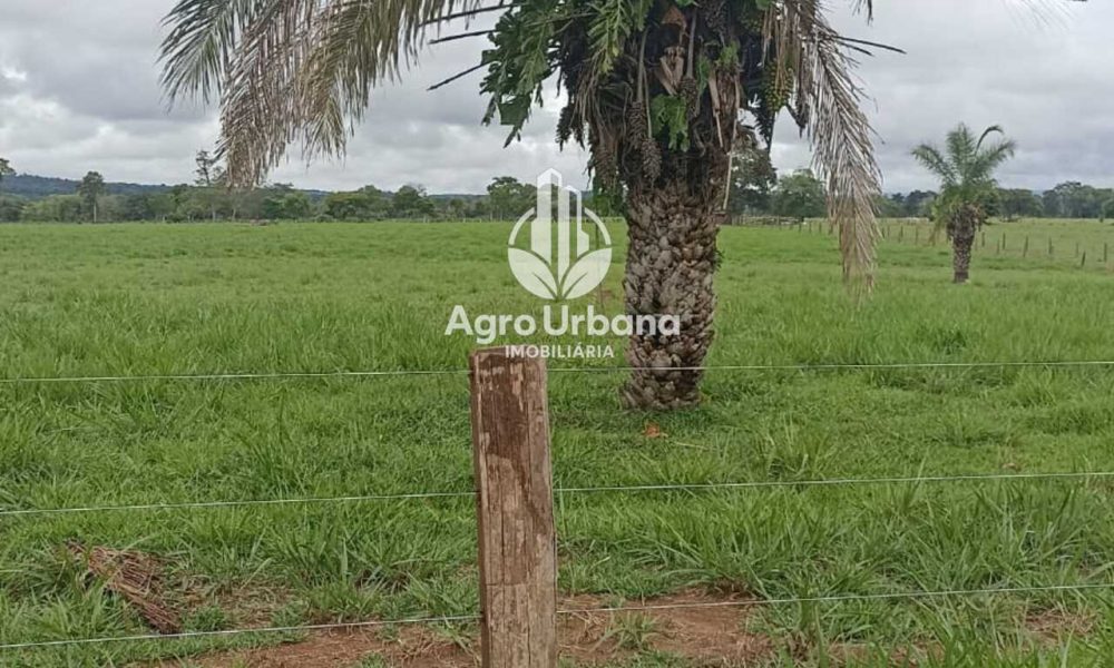 WhatsApp Image 2025-04-18 at 10.37.29 (1)