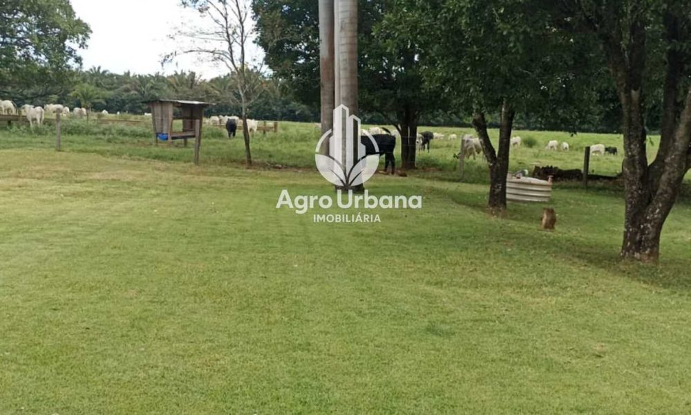 WhatsApp Image 2025-04-18 at 10.37.29 (2)