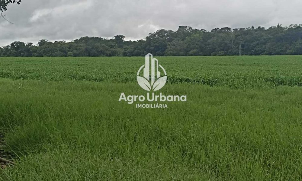 WhatsApp Image 2025-04-18 at 10.37.29 (3)