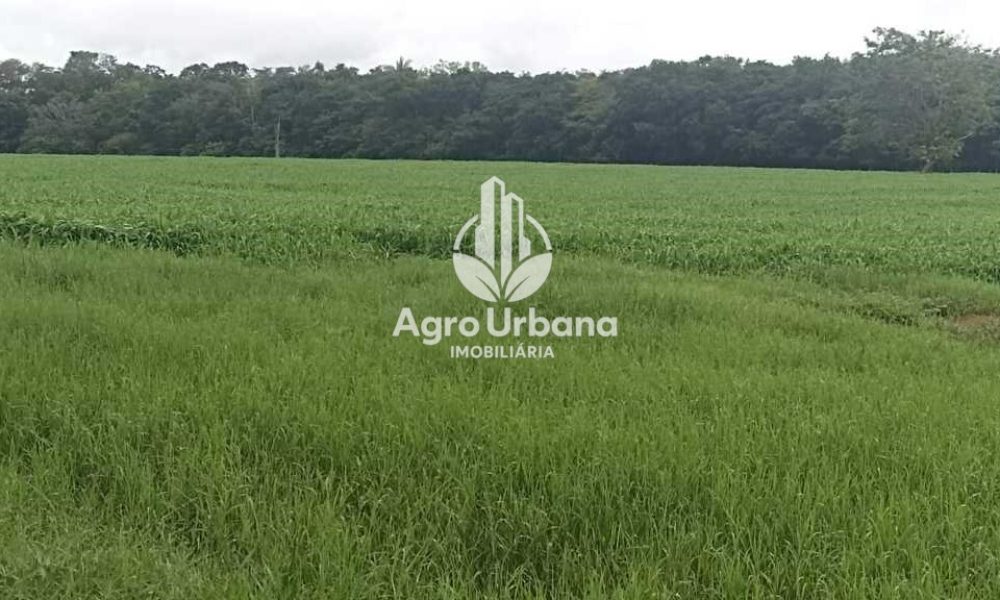 WhatsApp Image 2025-04-18 at 10.37.29