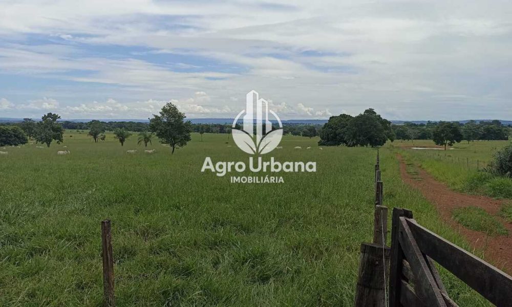 WhatsApp Image 2025-04-18 at 10.37.30 (1)