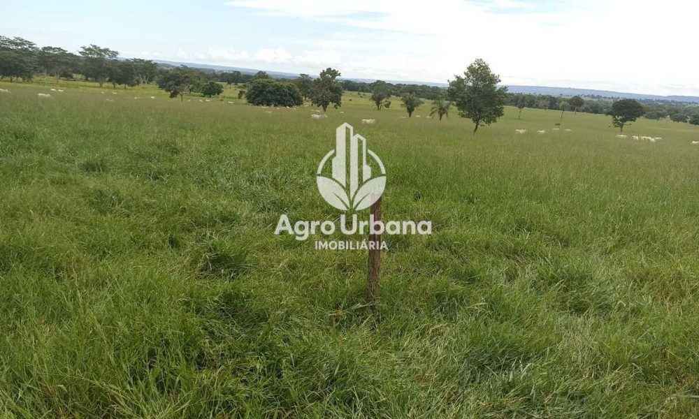 WhatsApp Image 2025-04-18 at 10.37.30